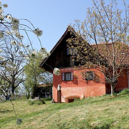 Ferienwohnungen Sonnenberg Ratsch an der Weinstraße Exterior foto