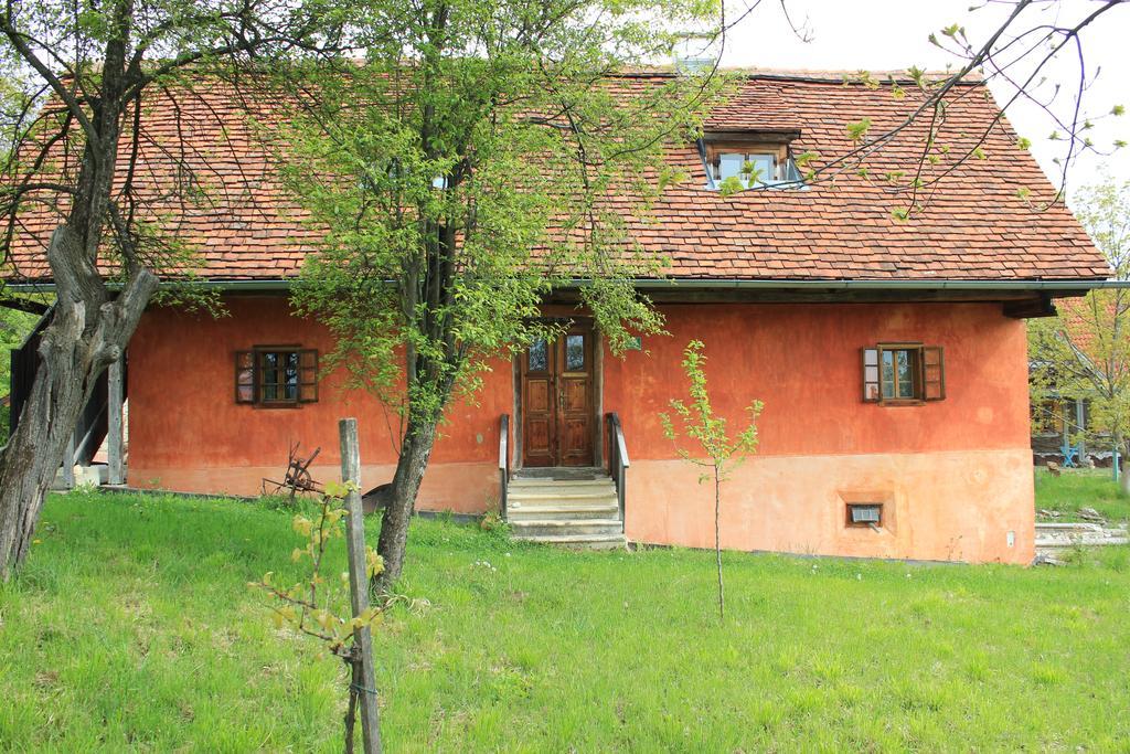 Ferienwohnungen Sonnenberg Ratsch an der Weinstraße Exterior foto